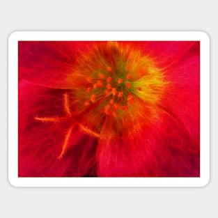 closeup of single floral fantasy with delicate stamens Sticker